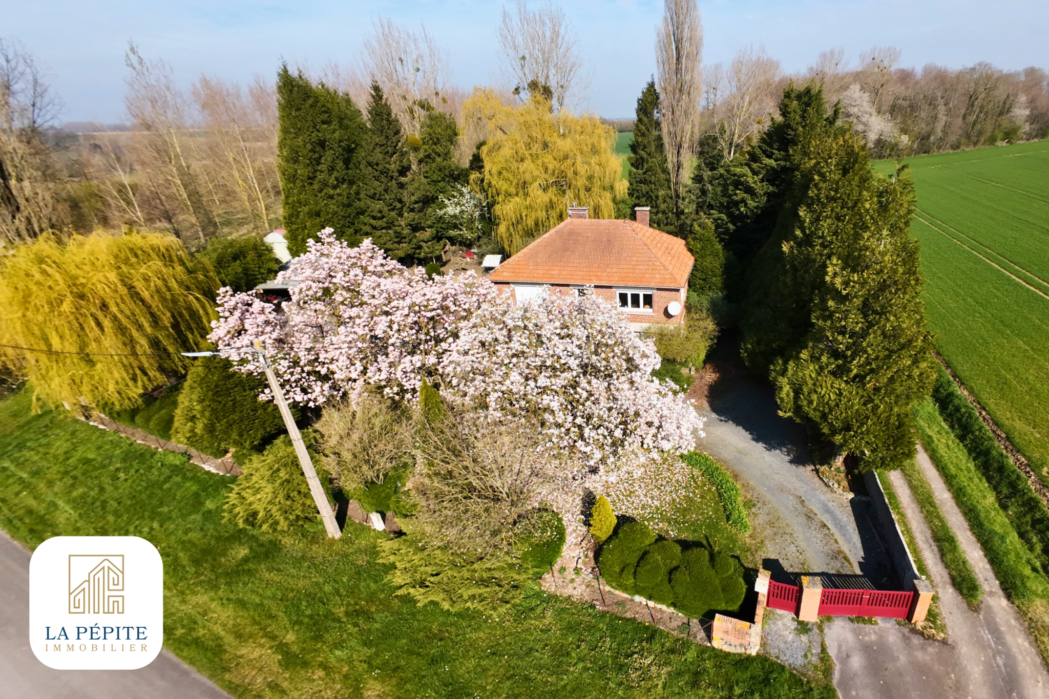 Troisième photo